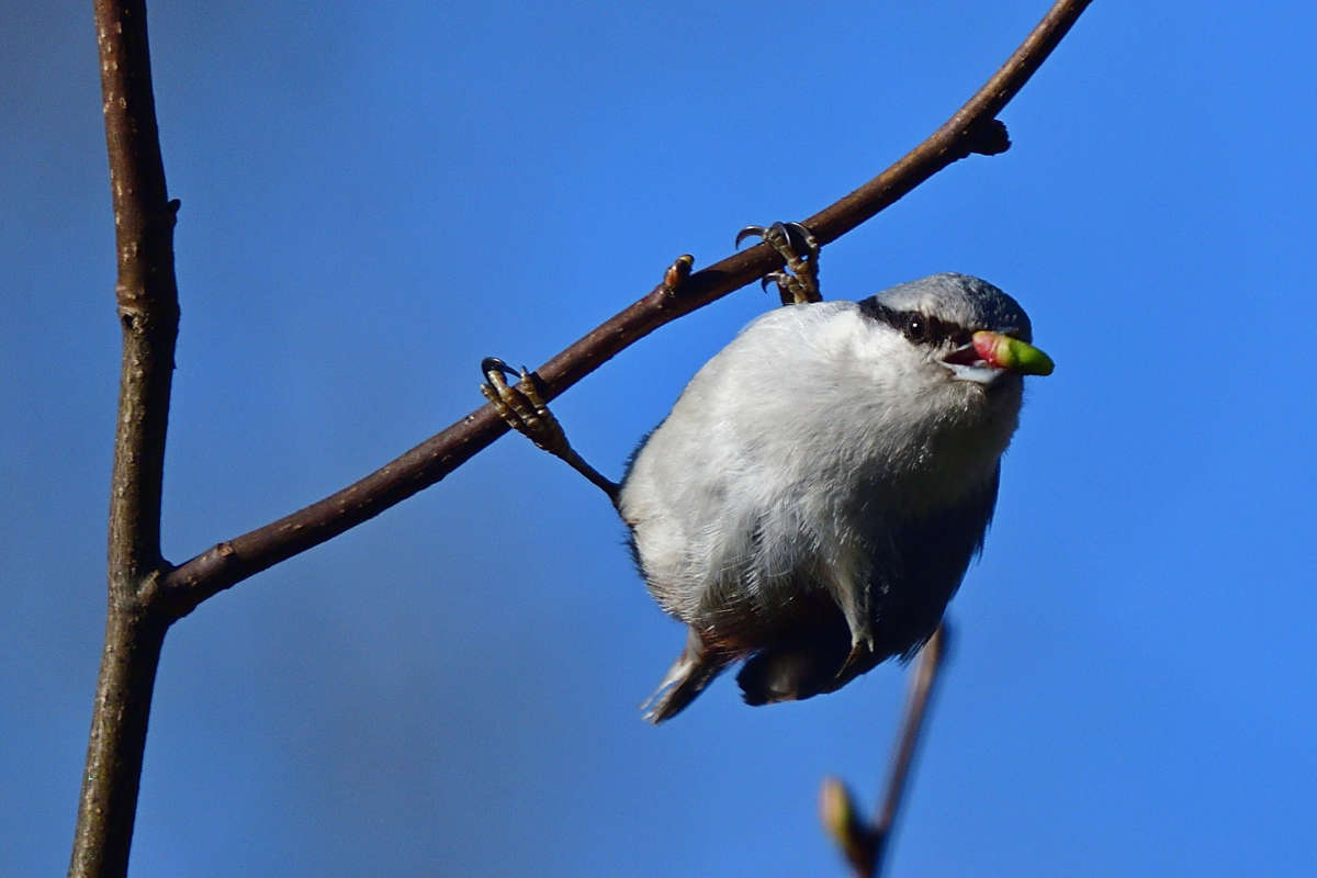 ... ����� �����  �� PhotoGeek.ru #�������� ���