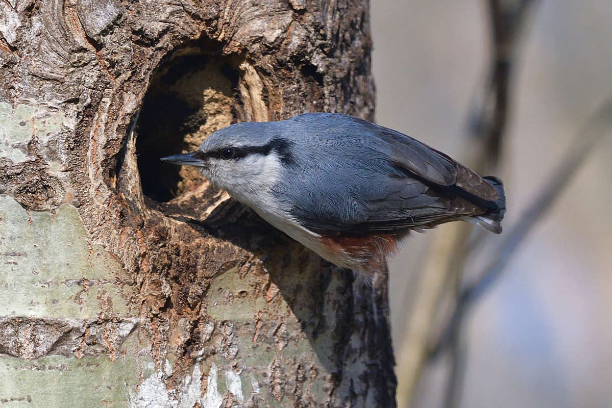 ... ����� �����  �� PhotoGeek.ru #�������� ���