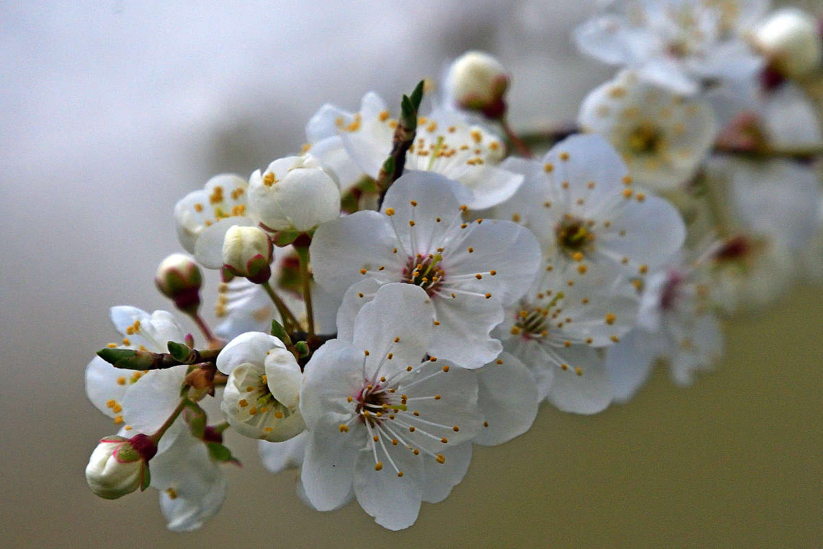 ... ����� �����  �� PhotoGeek.ru #������ ��� ������� #����� ��������������