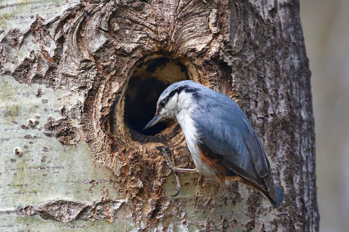 ... ����� �����  �� PhotoGeek.ru #�������� ���