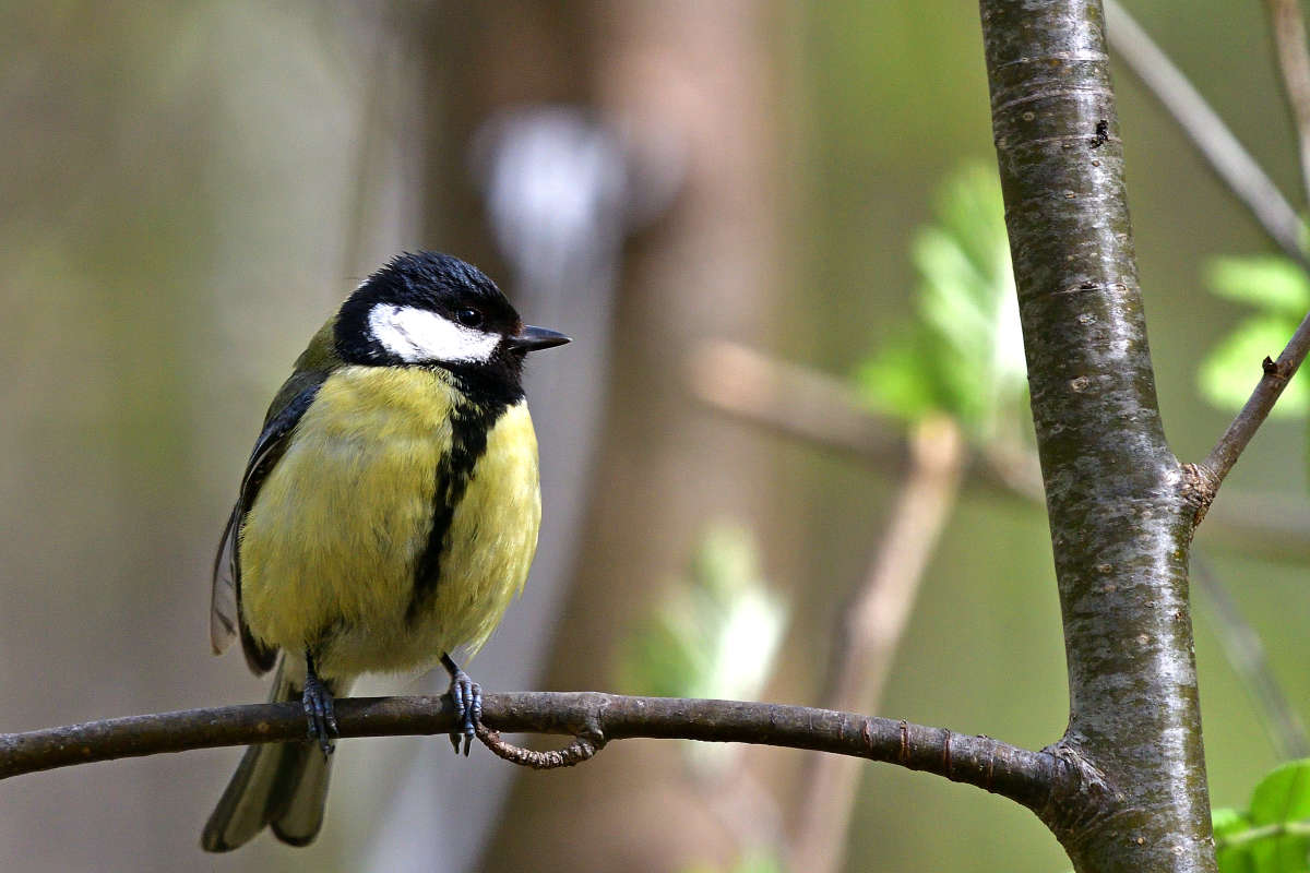 ... ����� �����  �� PhotoGeek.ru #�������� ���