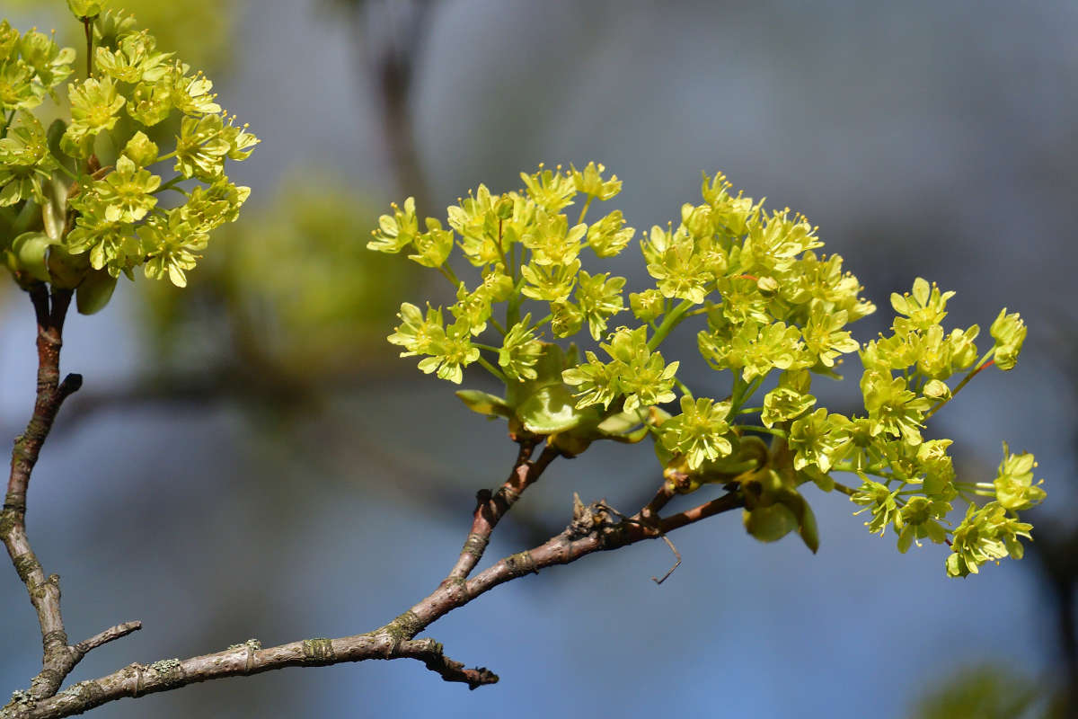 ... ����� �����  �� PhotoGeek.ru #������ ��� ������� #����� ��������������