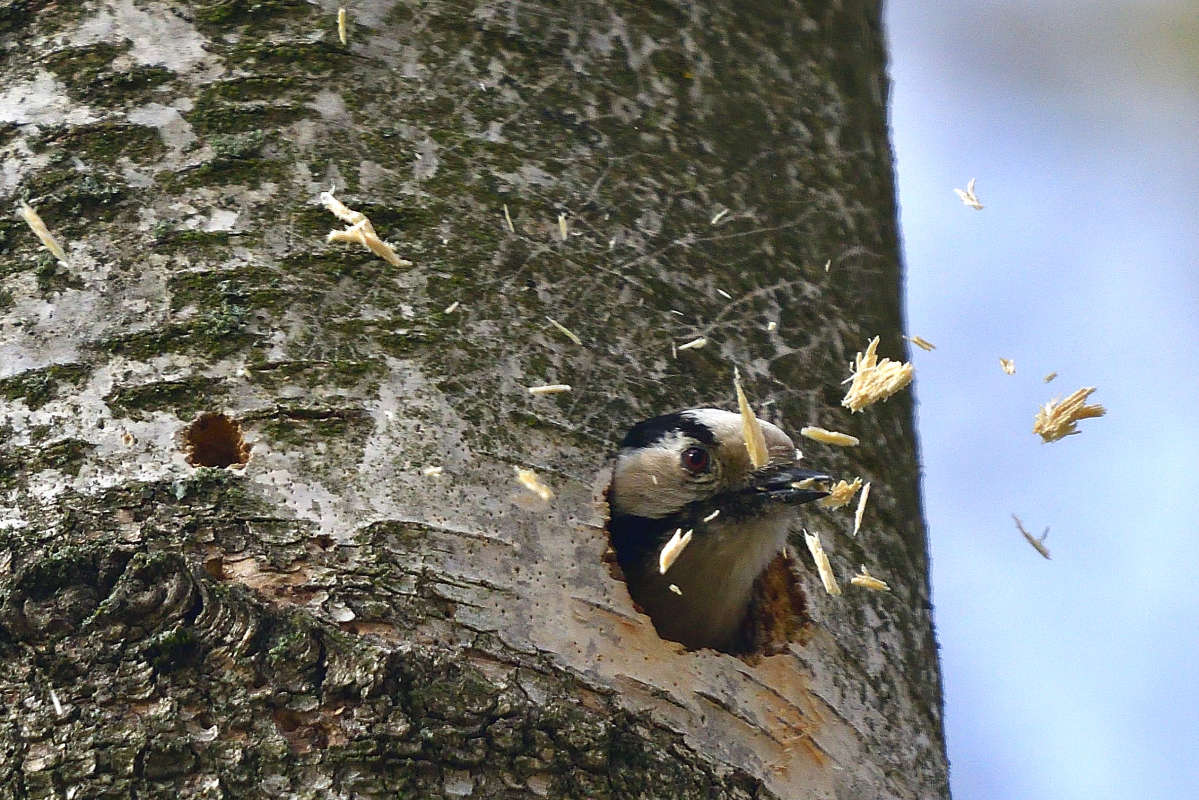 ... ����� �����  �� PhotoGeek.ru #�������� ��� #����� ��� ��� ���������