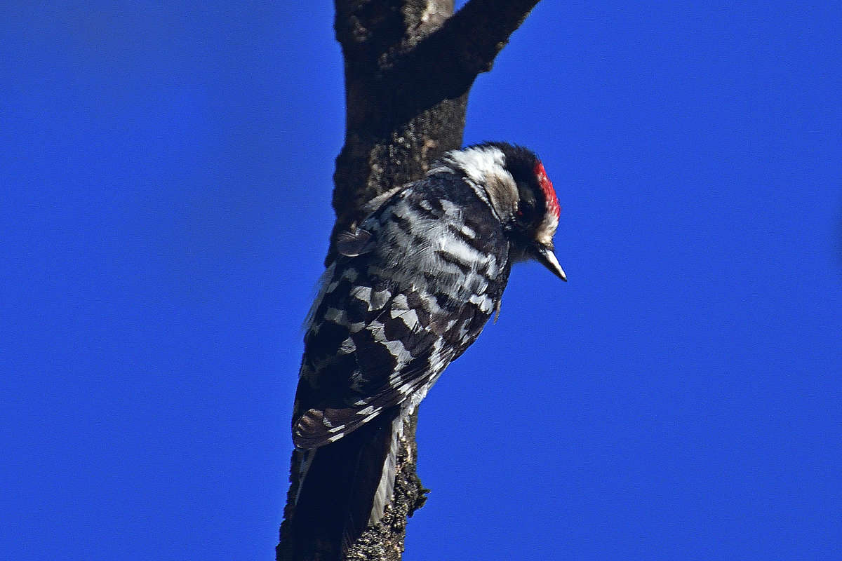 ... ����� �����  �� PhotoGeek.ru #�������� ���