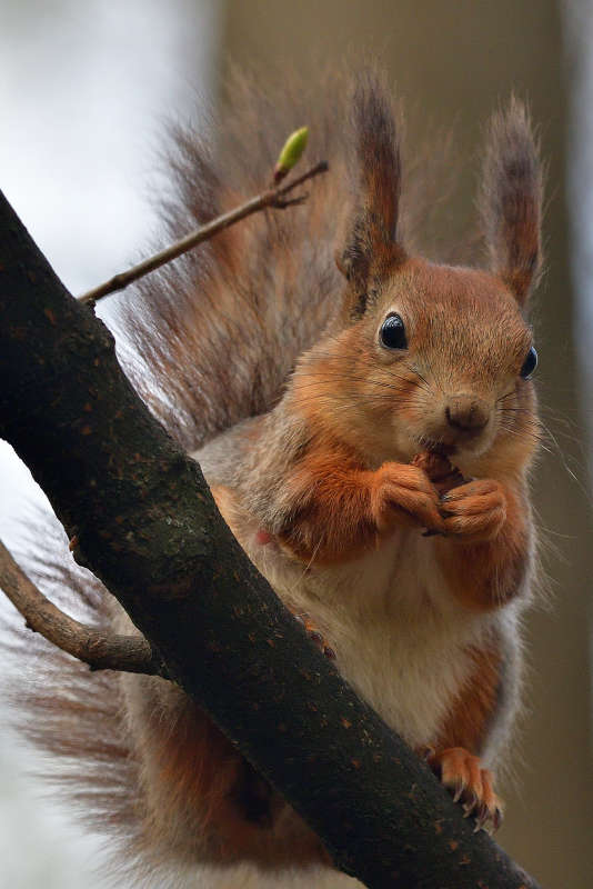 ... ����� �����  �� PhotoGeek.ru #�������� ���