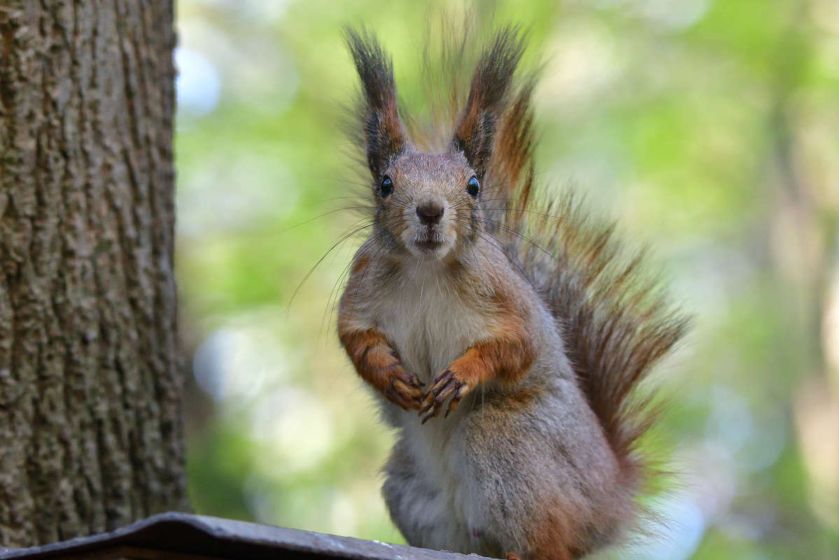 ... ����� �����  �� PhotoGeek.ru #�������� ���