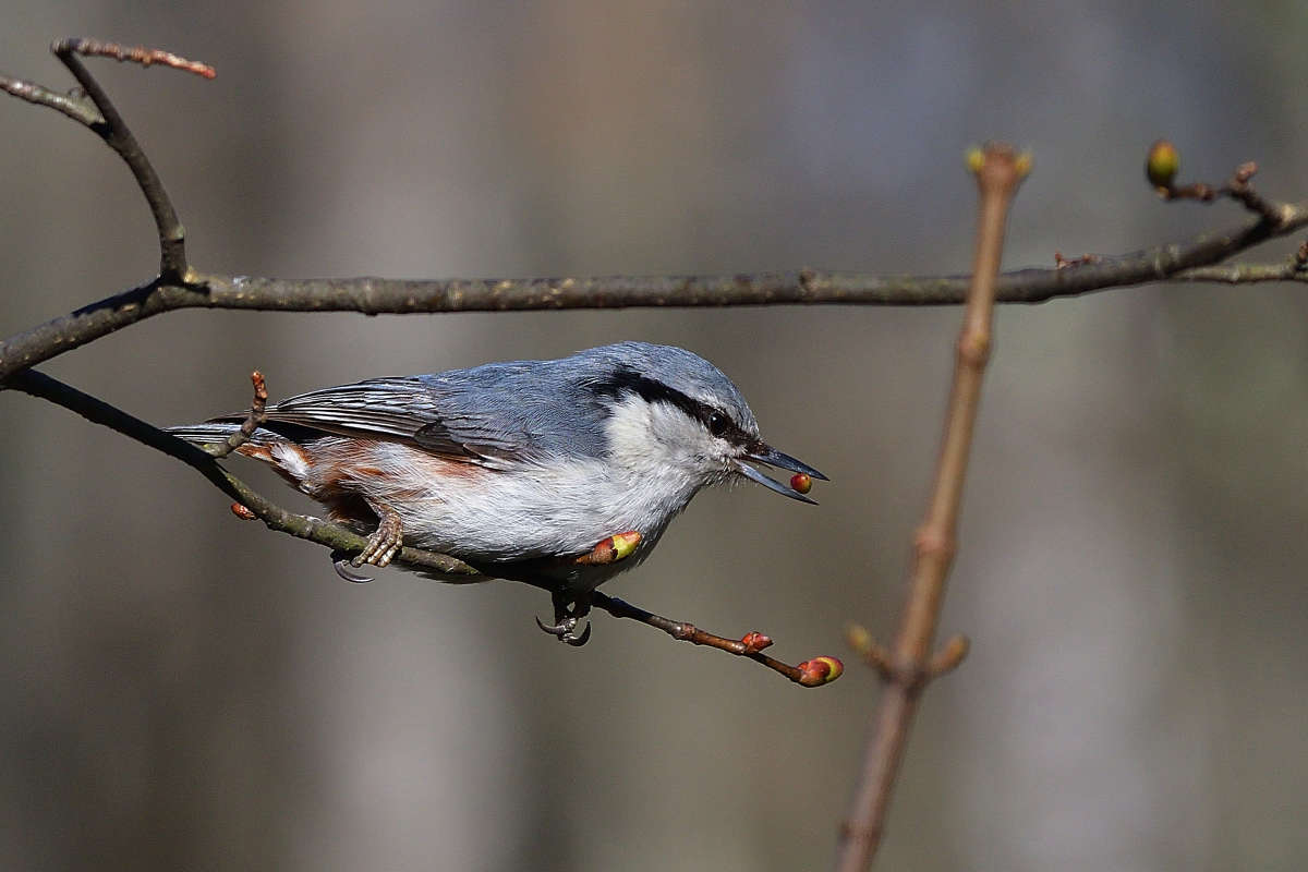 ... ����� �����  �� PhotoGeek.ru #�������� ���
