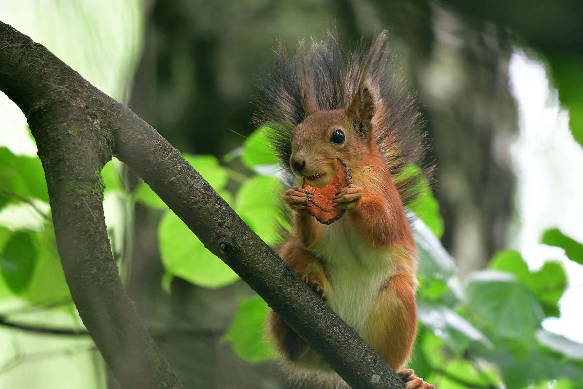 ... ����� �����  �� PhotoGeek.ru #�������� ���