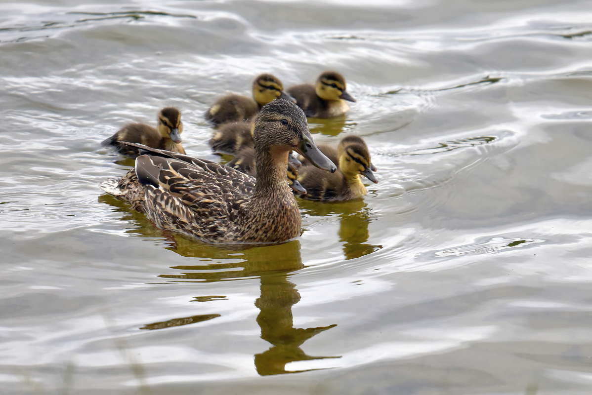 ... ����� �����  �� PhotoGeek.ru #�������� ���