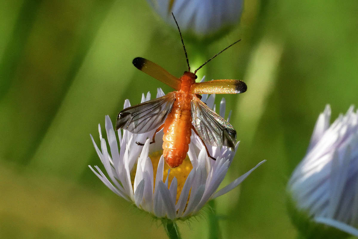 ... ����� �����  �� PhotoGeek.ru #�����