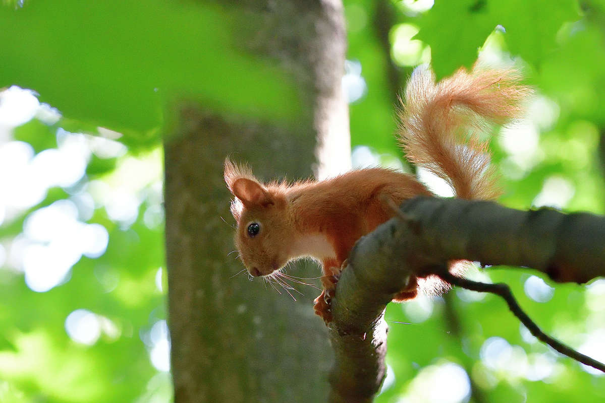 ... ����� �����  �� PhotoGeek.ru #�������� ���