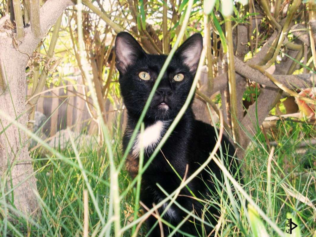 ������ ����� Ki Real �� PhotoGeek.ru #�������� ��� #������ ��� ������� #����� ��������