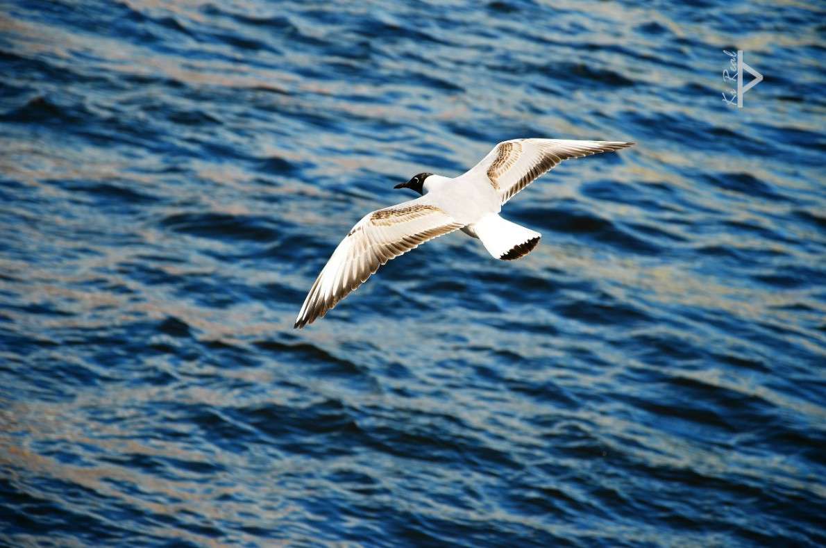 ������� ����� Ki Real �� PhotoGeek.ru #�������� ��� #����� ��� ��� ���������