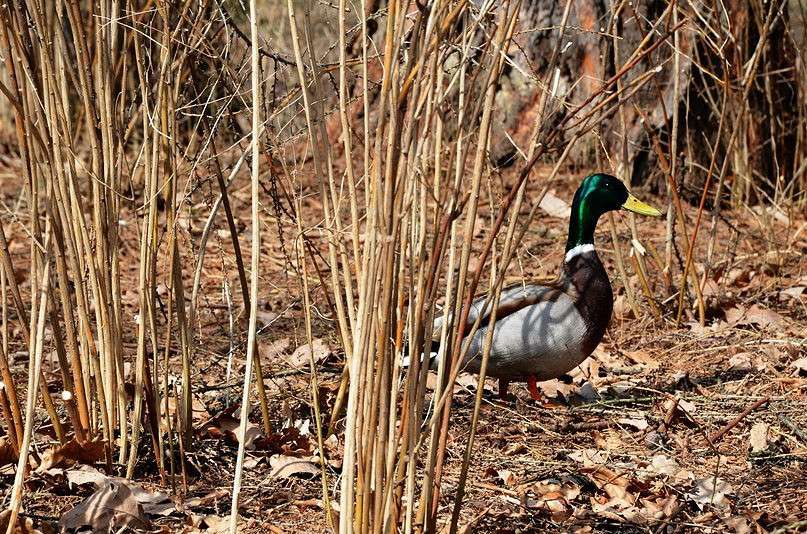 �������� ����� Ki Real �� PhotoGeek.ru #�������� ��� #����� ��� ��� ���������