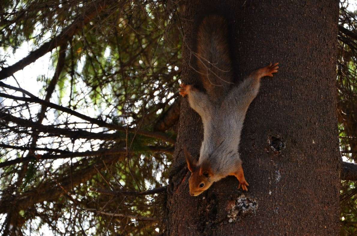 ����������� ����� Ki Real �� PhotoGeek.ru #�������� ��� #������ ��� ������� #������� #����� ��� ��� ���������