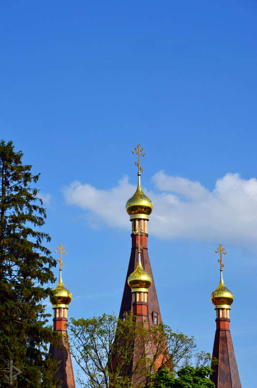 ������ ����� Ki Real �� PhotoGeek.ru #����� #����������� #������ ������ #��������� ������