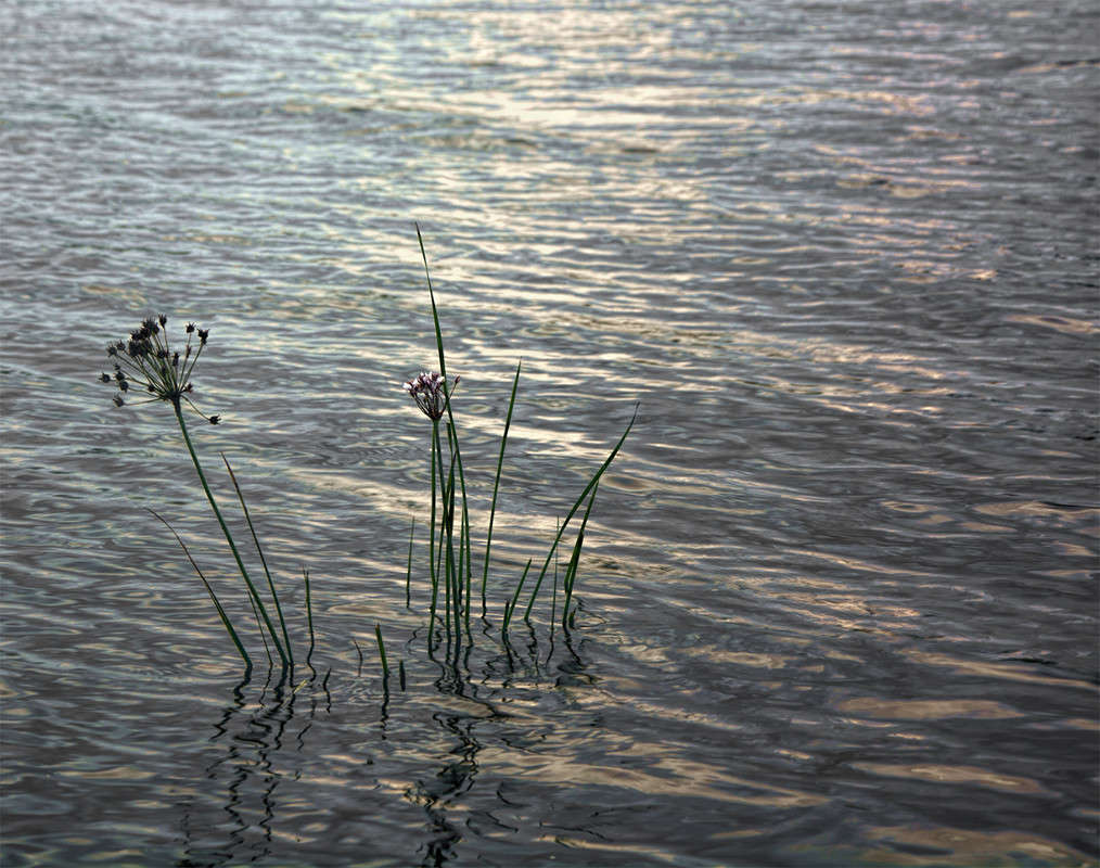 **** ����� �������  �� PhotoGeek.ru #������ ��� �������