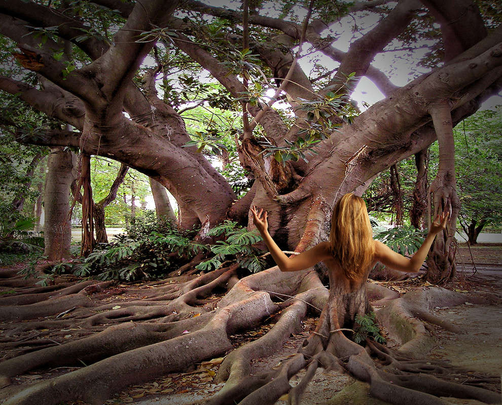 ������ ����� �������  �� PhotoGeek.ru #������