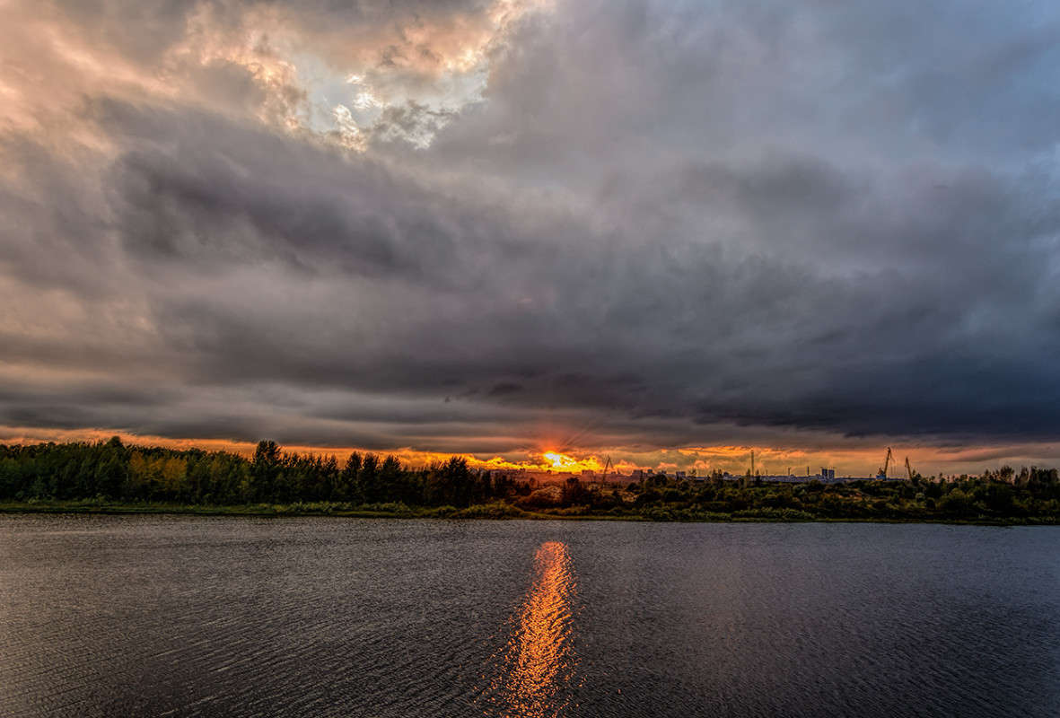 �� ����� 