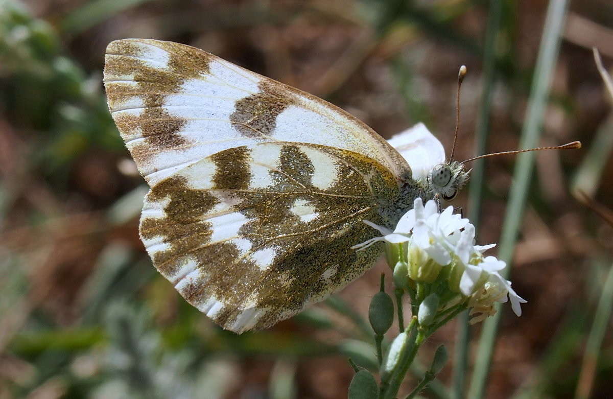 ������� ����� ������  �� PhotoGeek.ru #������ ��� ������� #����� ��������������