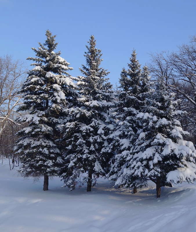 ������-�������� ����� ������  �� PhotoGeek.ru #����� #��������� ������