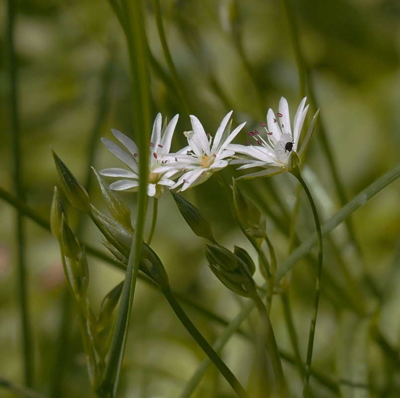 ������� ���� ����� ������  �� PhotoGeek.ru #������ ��� �������