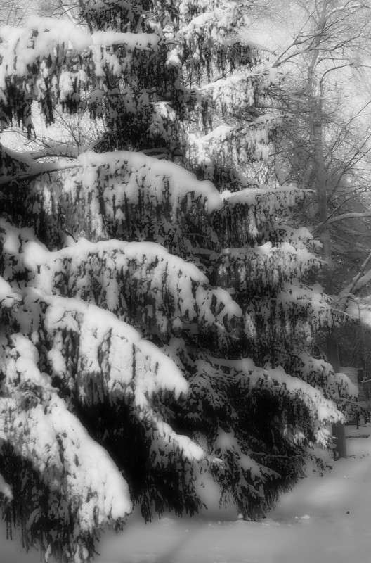 ����������� ���� ����� ������  �� PhotoGeek.ru #����� #��������� ������