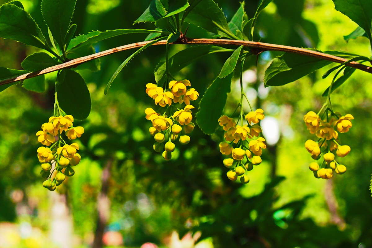 ���������� ����� ������  �� PhotoGeek.ru #����� #��������� ������