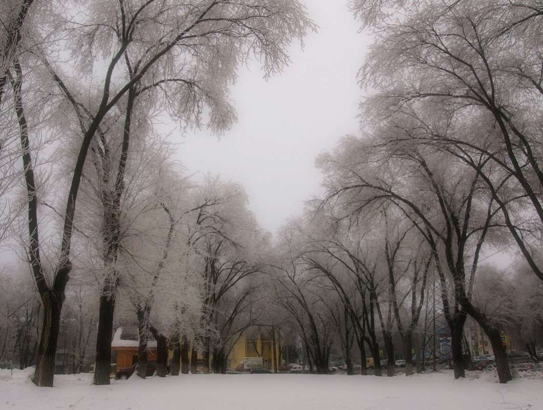 �������-���� ����� ������  �� PhotoGeek.ru #����� #������ ��� ������� #��������� ������