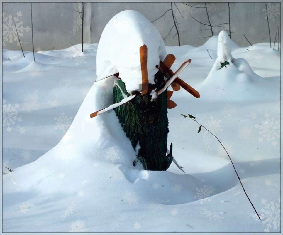 ������� ���� ����� ������  �� PhotoGeek.ru #����� #��������� ������