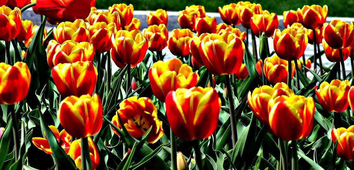 ��� �� ����� ���������� ����� ������  �� PhotoGeek.ru #������ ��� ������� #����� ��������������