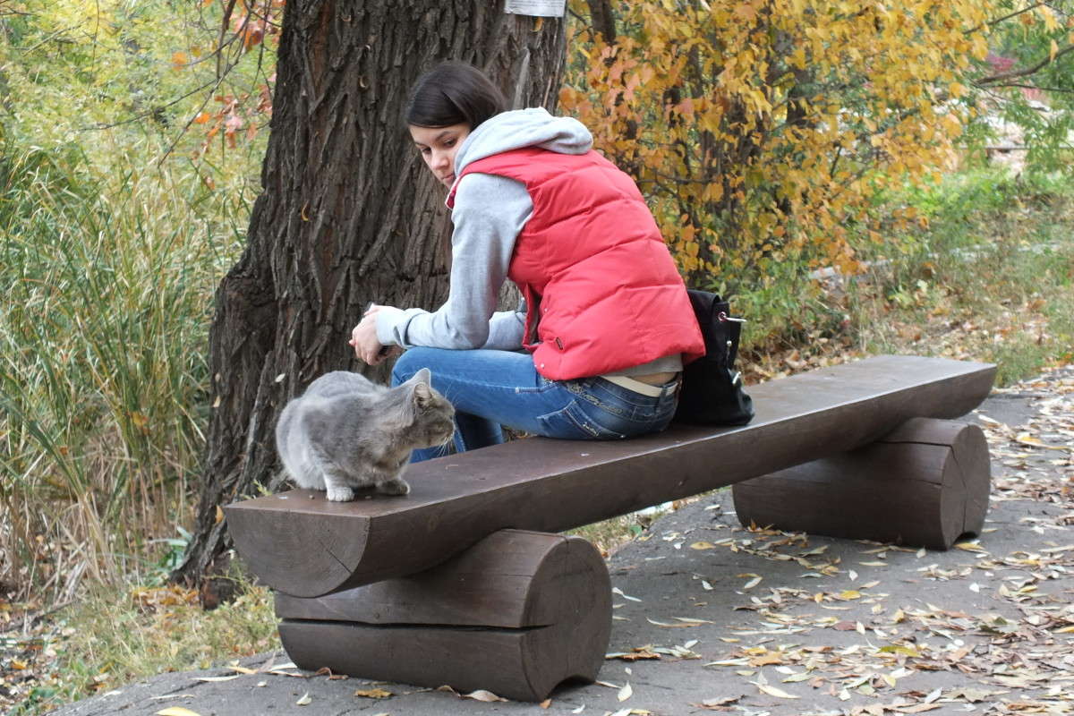 �������� �� ����� ����� ������  �� PhotoGeek.ru #�������� ���������� #�����-����