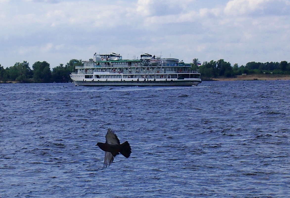 ��� ����� ����� ������  �� PhotoGeek.ru #������ ��� ������� #���������