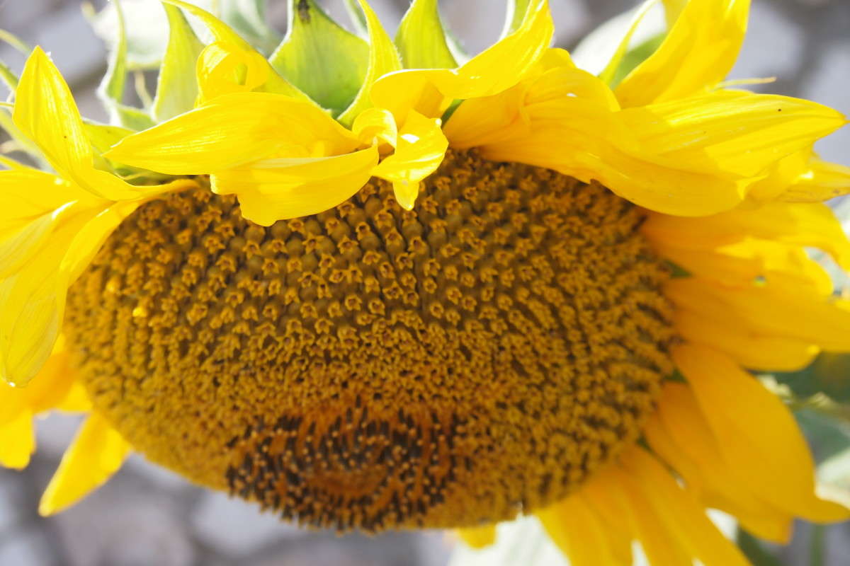 �������� ����� ������  �� PhotoGeek.ru #������ ��� ������� #����� ��������������