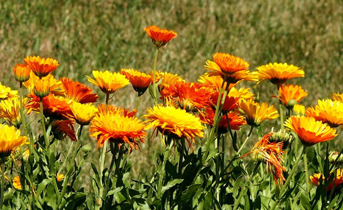 ������� ����� ������  �� PhotoGeek.ru #������ ��� �������