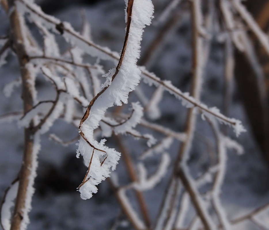 ���� ����� ������  �� PhotoGeek.ru #����� #������ ��� ������� #��������� ������