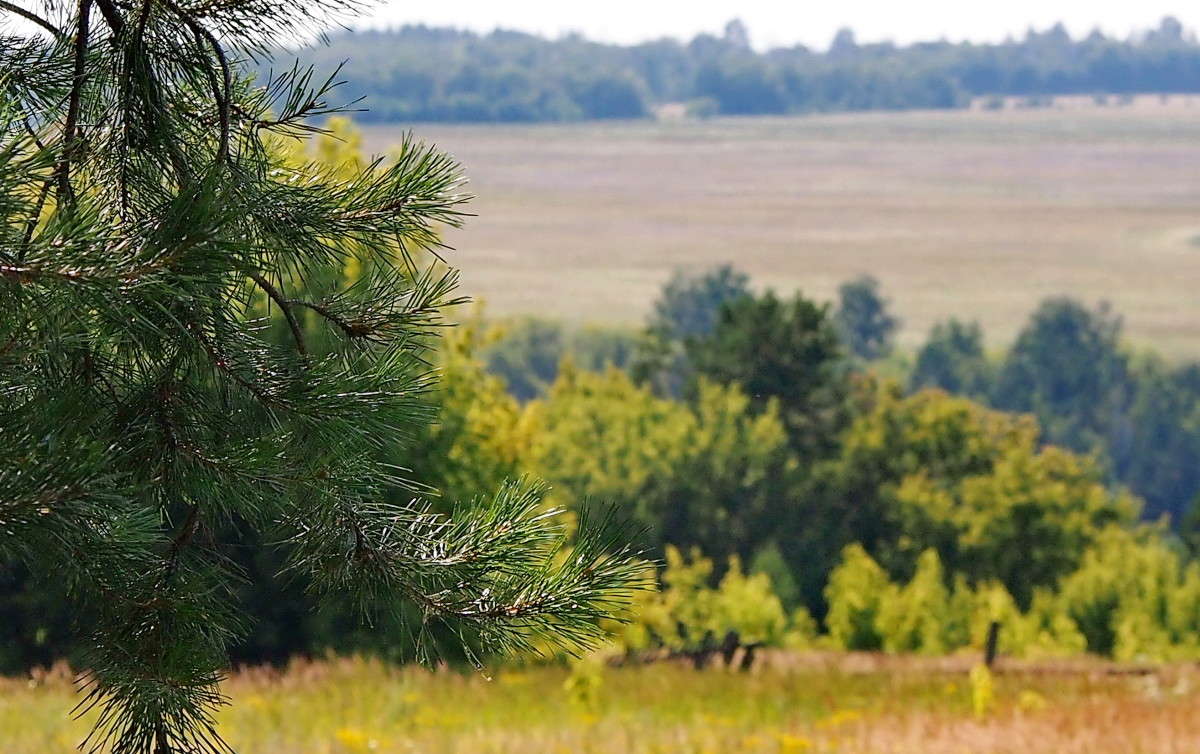 ������ ��������� ����� ������  �� PhotoGeek.ru #������ ��� �������