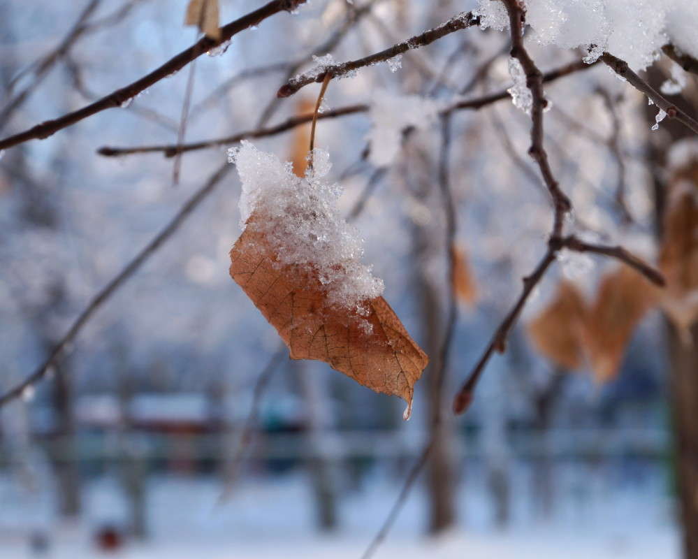 ������ ����� ������  �� PhotoGeek.ru #����� #������ ��� �������