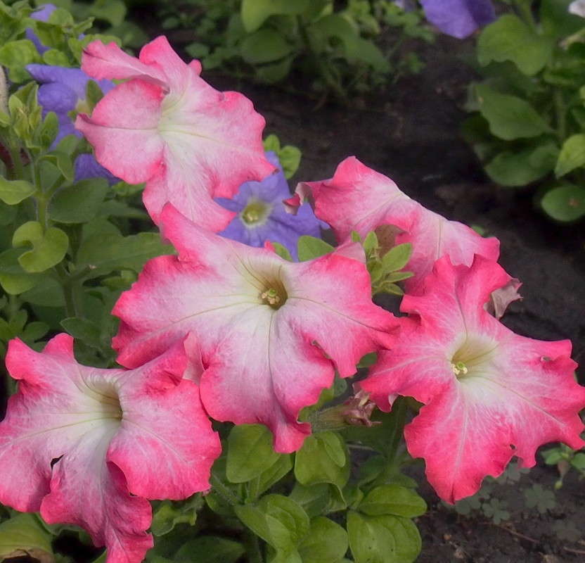 ������� ����� ������  �� PhotoGeek.ru #������ ��� ������� #����� ��������������