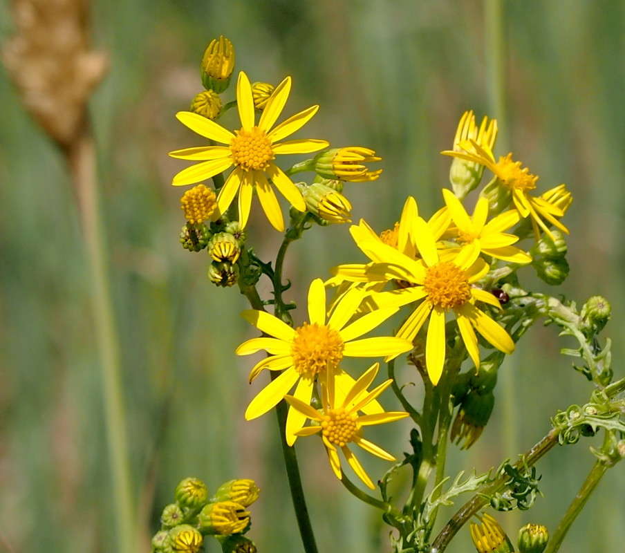 �������� ����� ������  �� PhotoGeek.ru #������ ��� ������� #����� ��������������