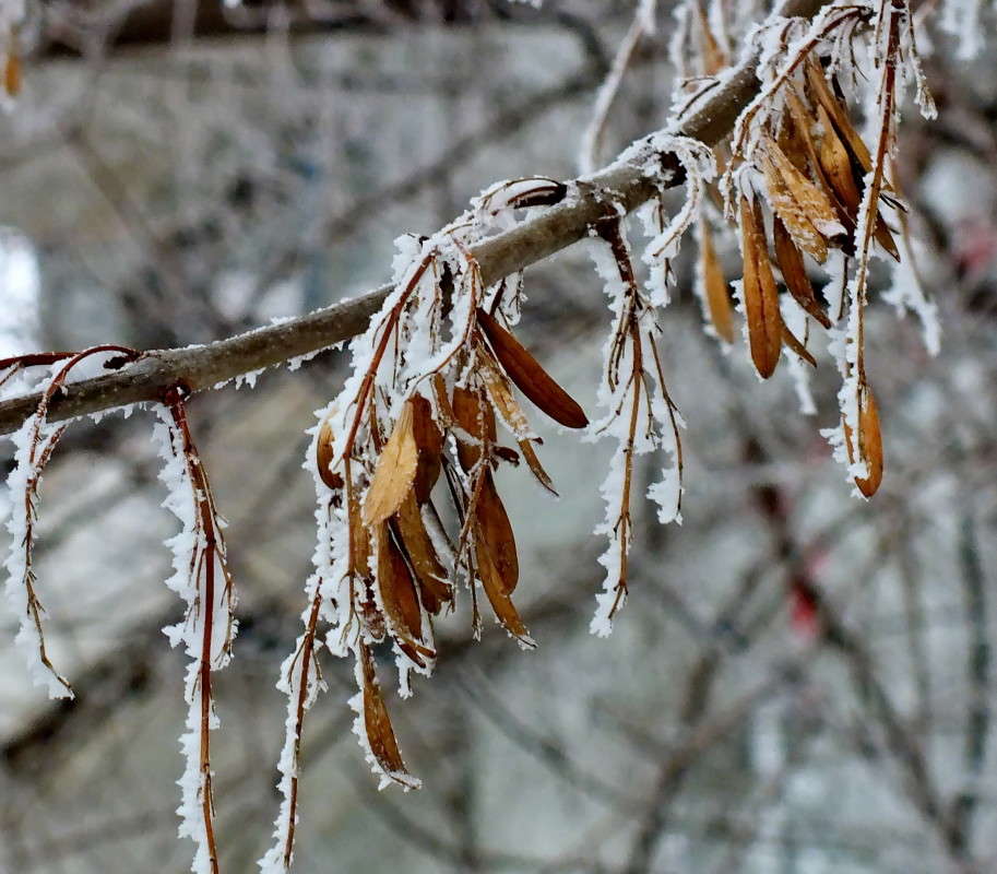 ���� ����� ������  �� PhotoGeek.ru #������ ��� �������