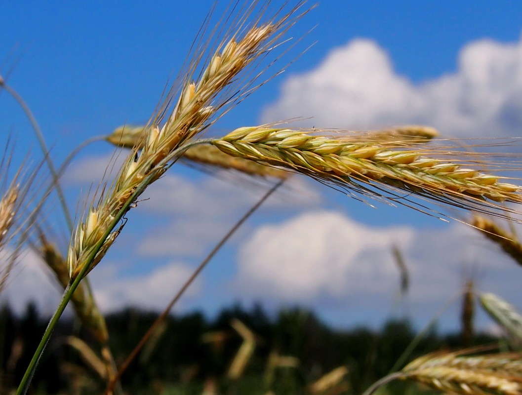 ������� ����� ������  �� PhotoGeek.ru #������ ��� �������