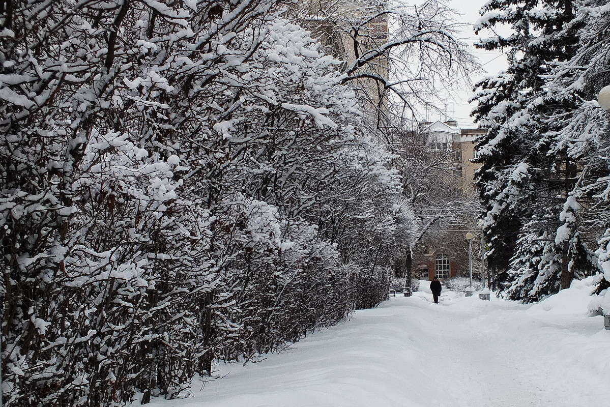 �� � ���� ����� ������  �� PhotoGeek.ru #������ ��� �������