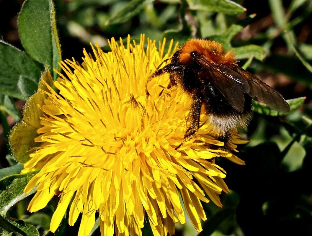 ������ ����� ������  �� PhotoGeek.ru #������ ��� �������