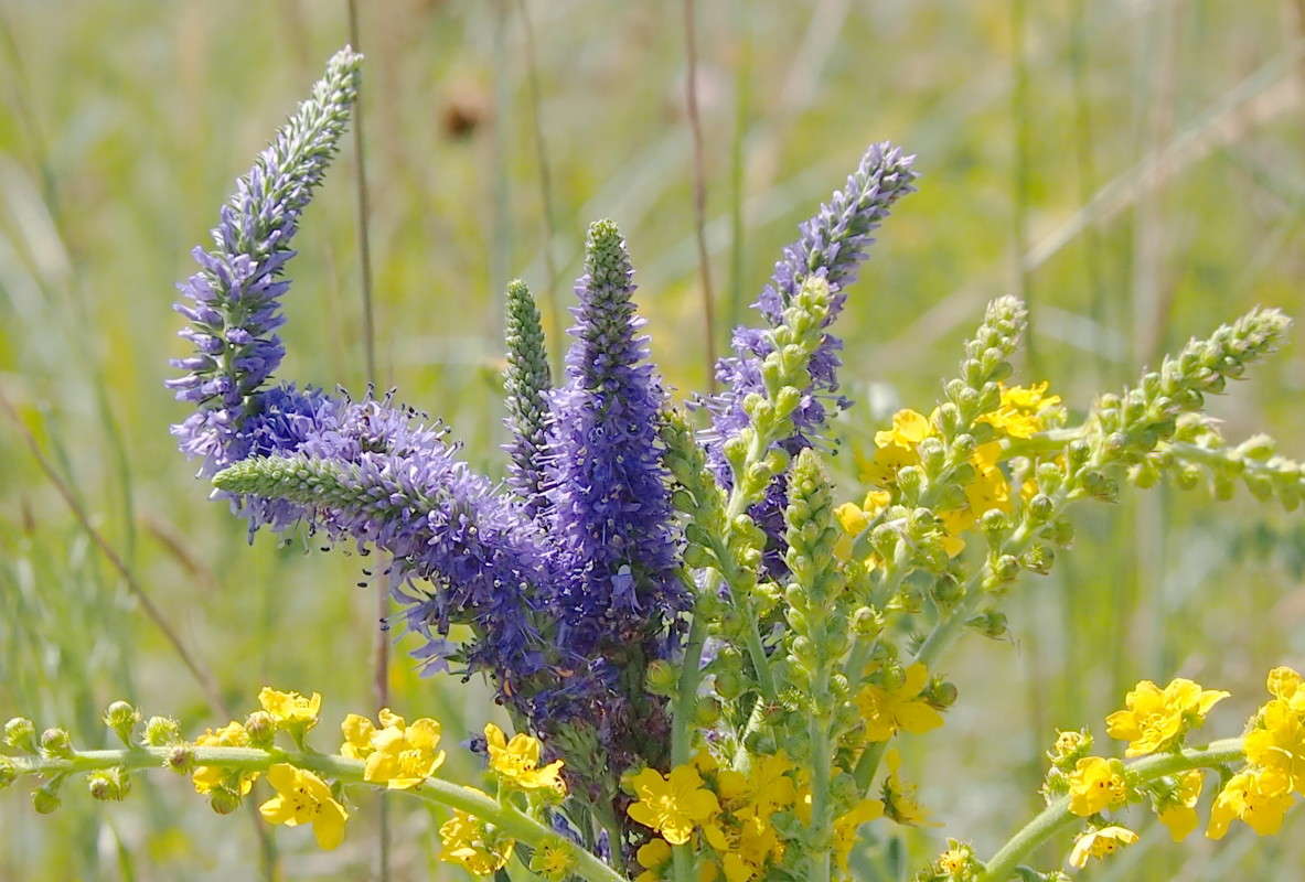 �������� ����� ����� ������  �� PhotoGeek.ru #������ ��� �������