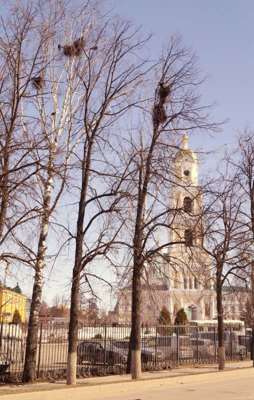 ������� ����� ������  �� PhotoGeek.ru #����� #������ ��� �������