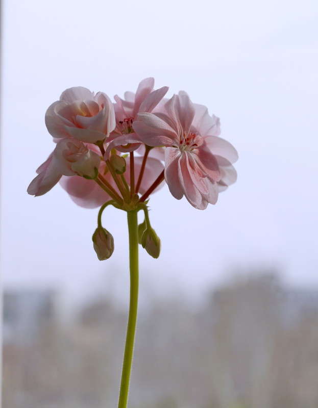 ������ ������ ����� ������  �� PhotoGeek.ru #������ ��� ������� #����� ��������������