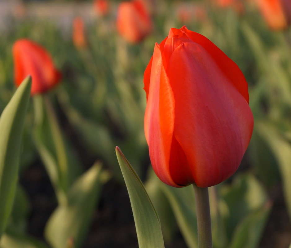 ���� ��������� ����� ������  �� PhotoGeek.ru #����� #������ ��� �������