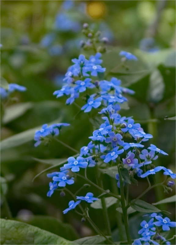 ��������� ����� ������  �� PhotoGeek.ru #������ ��� �������