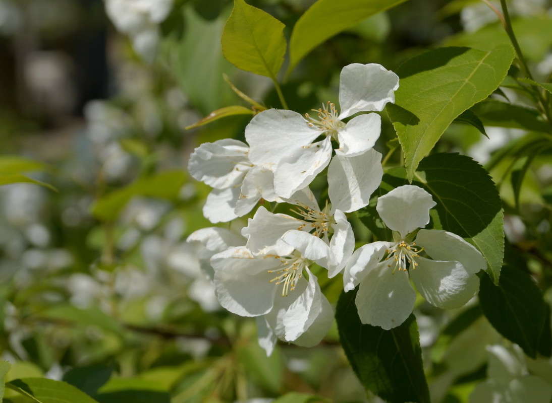 ������ ����� ������  �� PhotoGeek.ru #������ ��� �������